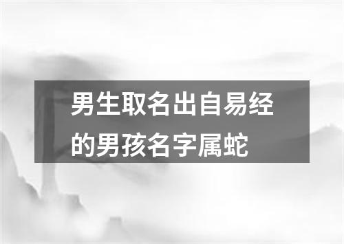 男生取名出自易经的男孩名字属蛇