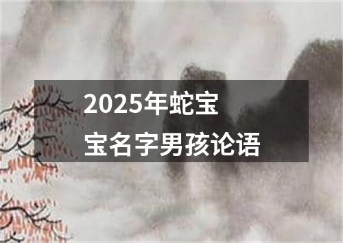 2025年蛇宝宝名字男孩论语