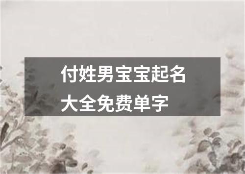 付姓男宝宝起名大全免费单字