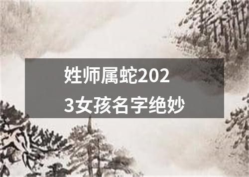 姓师属蛇2023女孩名字绝妙
