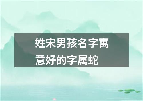 姓宋男孩名字寓意好的字属蛇