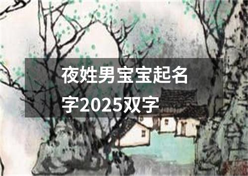 夜姓男宝宝起名字2025双字