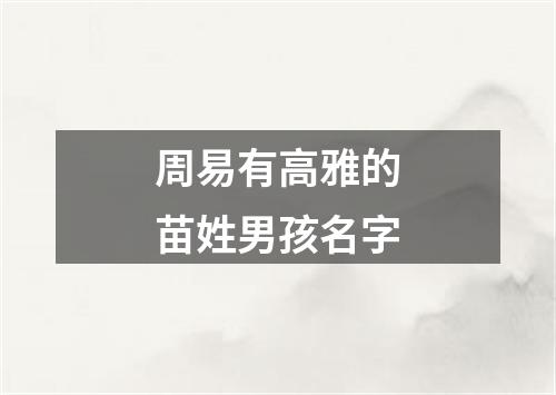 周易有高雅的苗姓男孩名字
