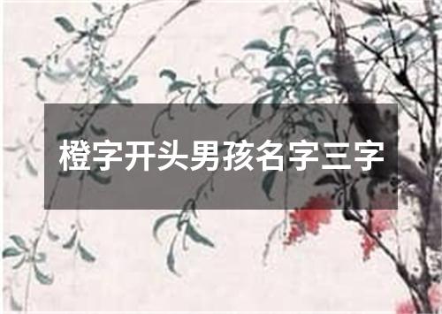 橙字开头男孩名字三字