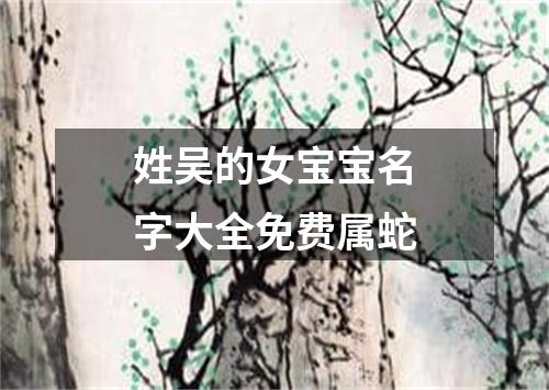 姓吴的女宝宝名字大全免费属蛇