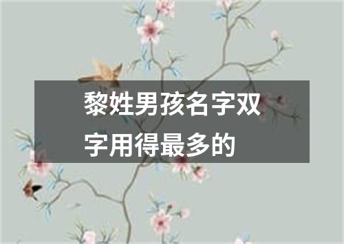 黎姓男孩名字双字用得最多的