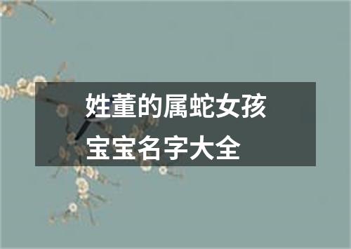 姓董的属蛇女孩宝宝名字大全