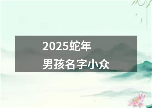 2025蛇年男孩名字小众