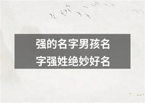 强的名字男孩名字强姓绝妙好名