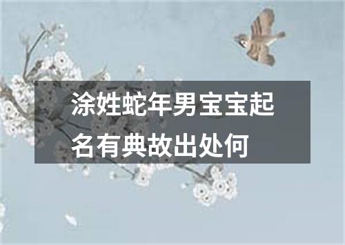 涂姓蛇年男宝宝起名有典故出处何