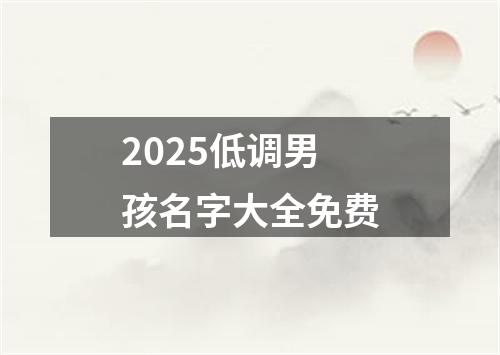 2025低调男孩名字大全免费