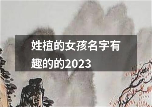 姓植的女孩名字有趣的的2023