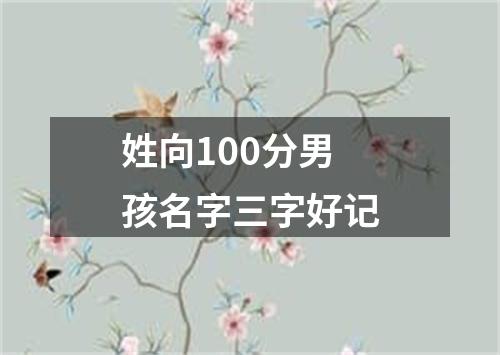 姓向100分男孩名字三字好记