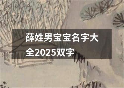 薛姓男宝宝名字大全2025双字