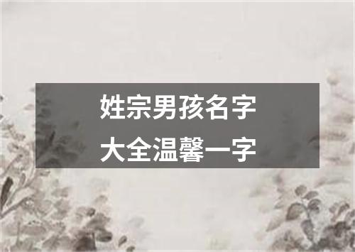 姓宗男孩名字大全温馨一字