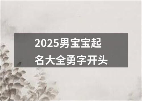 2025男宝宝起名大全勇字开头