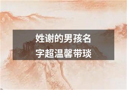 姓谢的男孩名字超温馨带琰