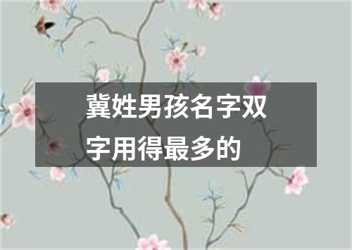 冀姓男孩名字双字用得最多的