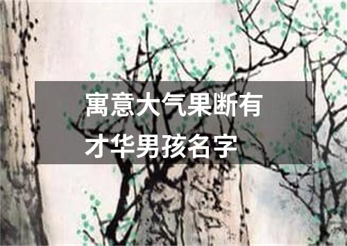 寓意大气果断有才华男孩名字