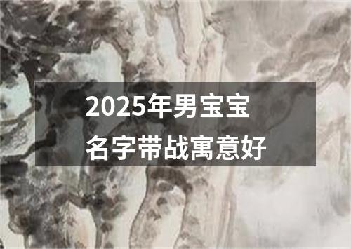 2025年男宝宝名字带战寓意好