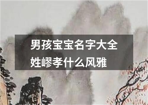 男孩宝宝名字大全姓嵺孝什么风雅