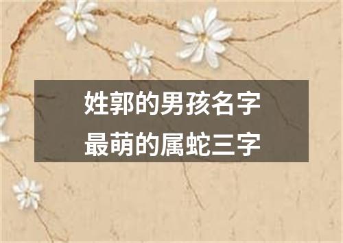 姓郭的男孩名字最萌的属蛇三字