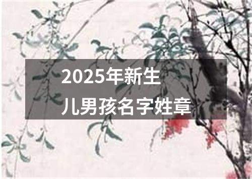 2025年新生儿男孩名字姓章