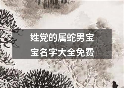 姓党的属蛇男宝宝名字大全免费