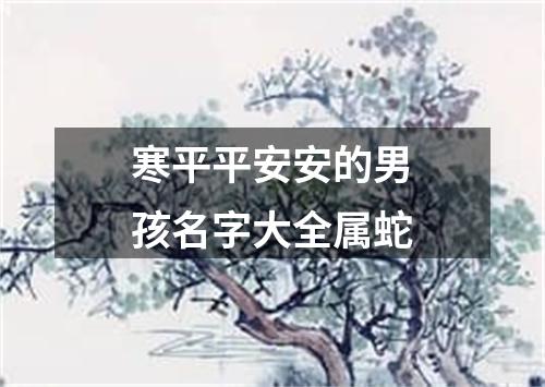 寒平平安安的男孩名字大全属蛇