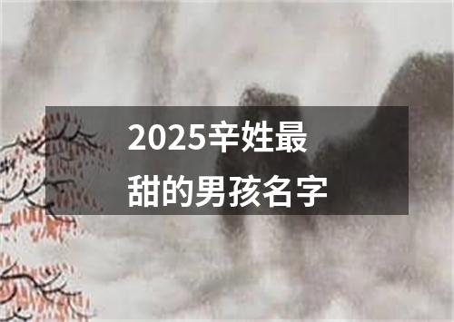 2025辛姓最甜的男孩名字