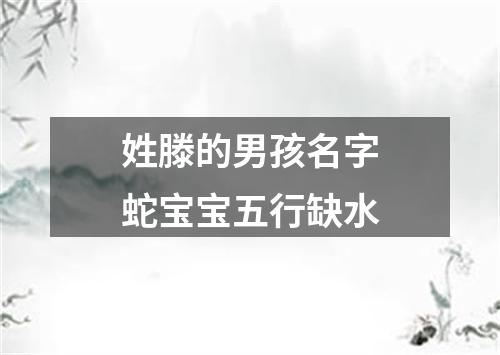 姓滕的男孩名字蛇宝宝五行缺水