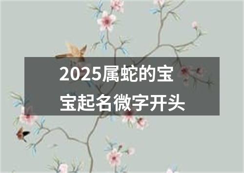 2025属蛇的宝宝起名微字开头
