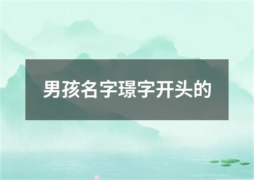 男孩名字璟字开头的