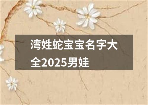 湾姓蛇宝宝名字大全2025男娃