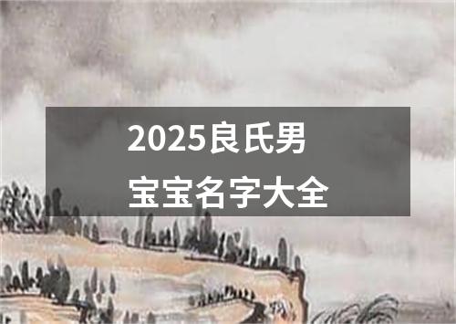 2025良氏男宝宝名字大全