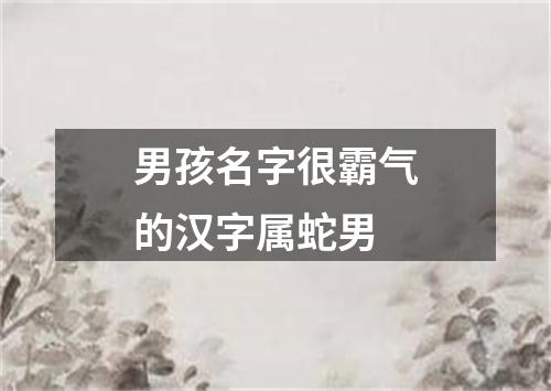 男孩名字很霸气的汉字属蛇男