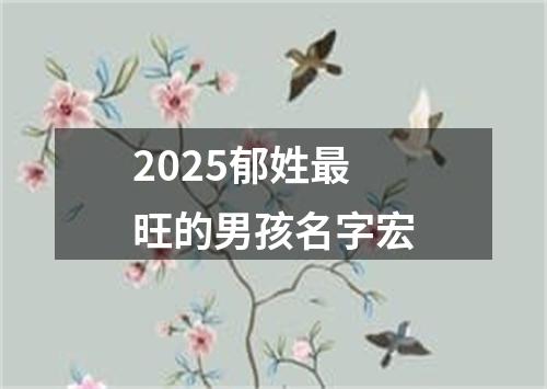 2025郁姓最旺的男孩名字宏