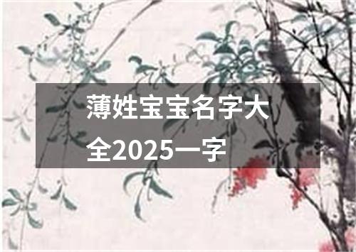 薄姓宝宝名字大全2025一字