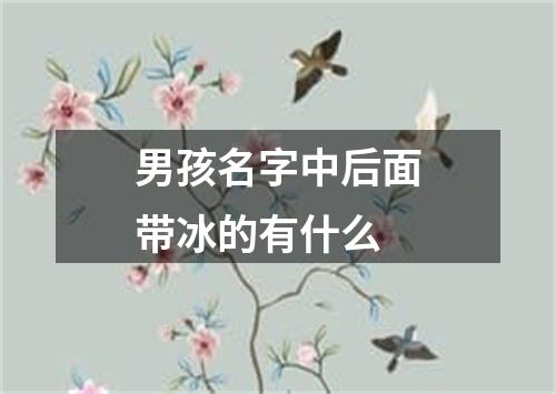 男孩名字中后面带冰的有什么