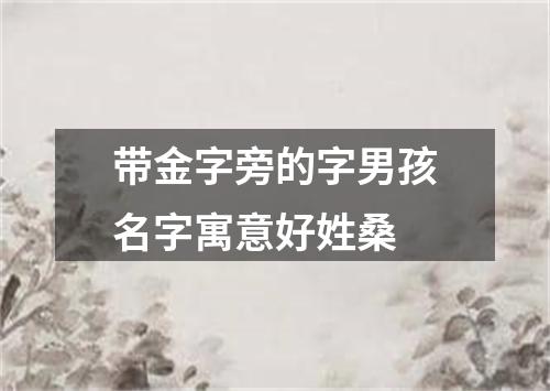 带金字旁的字男孩名字寓意好姓桑