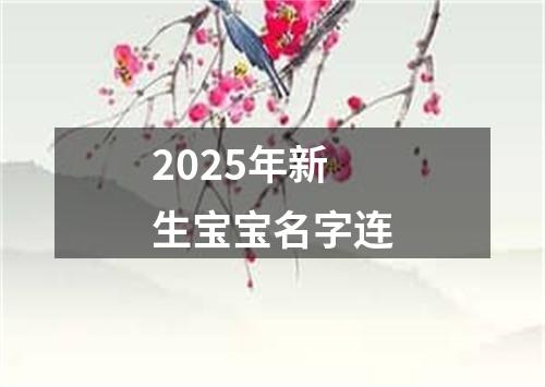 2025年新生宝宝名字连