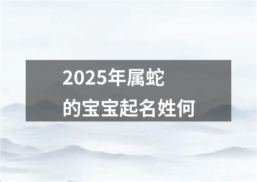 2025年属蛇的宝宝起名姓何