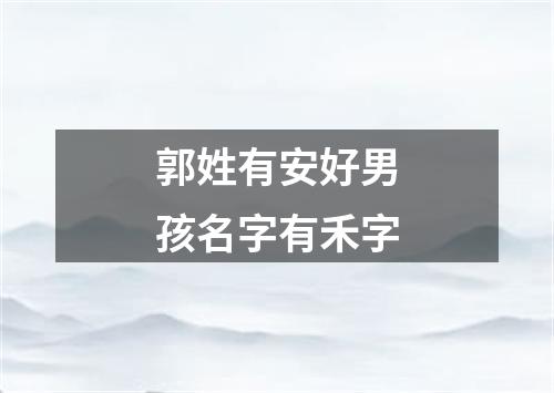 郭姓有安好男孩名字有禾字
