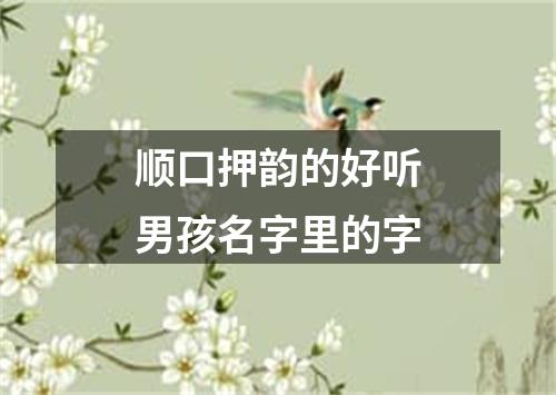顺口押韵的好听男孩名字里的字