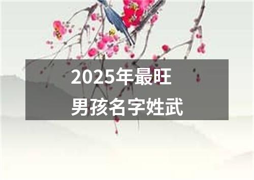 2025年最旺男孩名字姓武