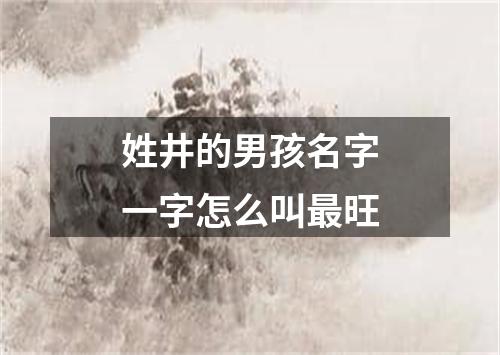姓井的男孩名字一字怎么叫最旺