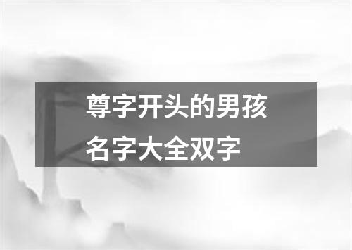 尊字开头的男孩名字大全双字