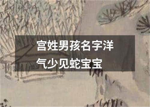 宫姓男孩名字洋气少见蛇宝宝