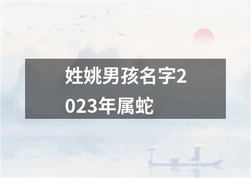 姓姚男孩名字2023年属蛇