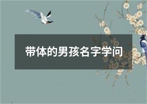 带体的男孩名字学问